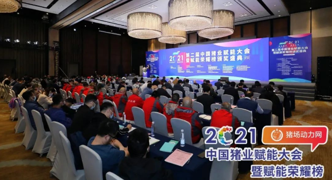 正康生?Plus榮獲“2021年度匠心飼料添加劑”！